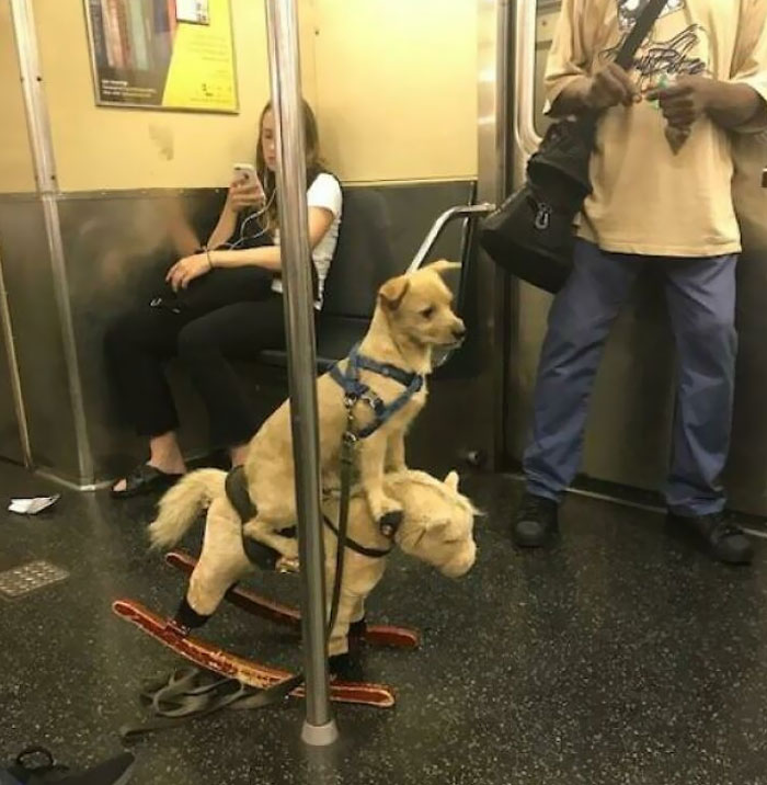 Spotted On The Subway