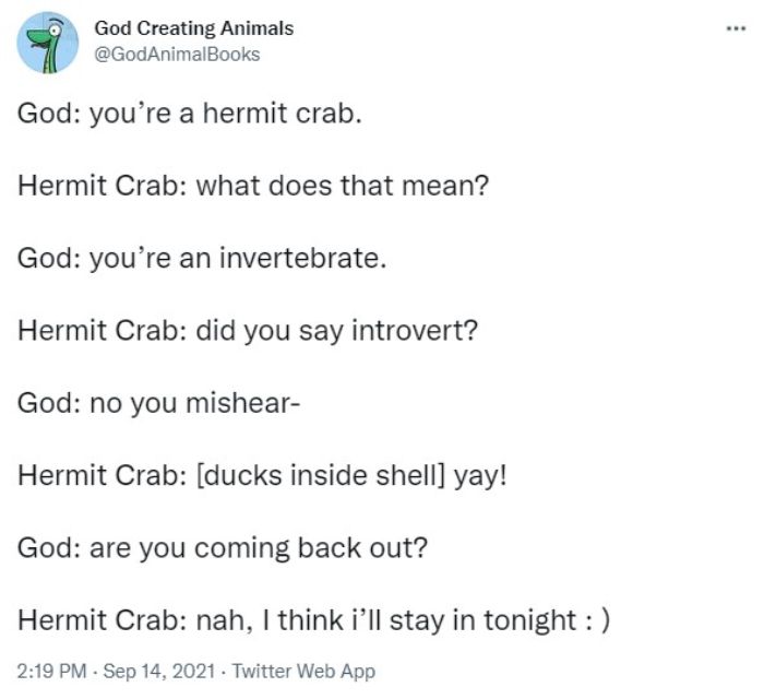 God Creates A Hermit Crab