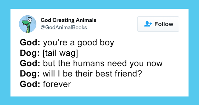 Here’s What God Must’ve Told The Animals While He Was Creating Them (30 Funny Tweets)