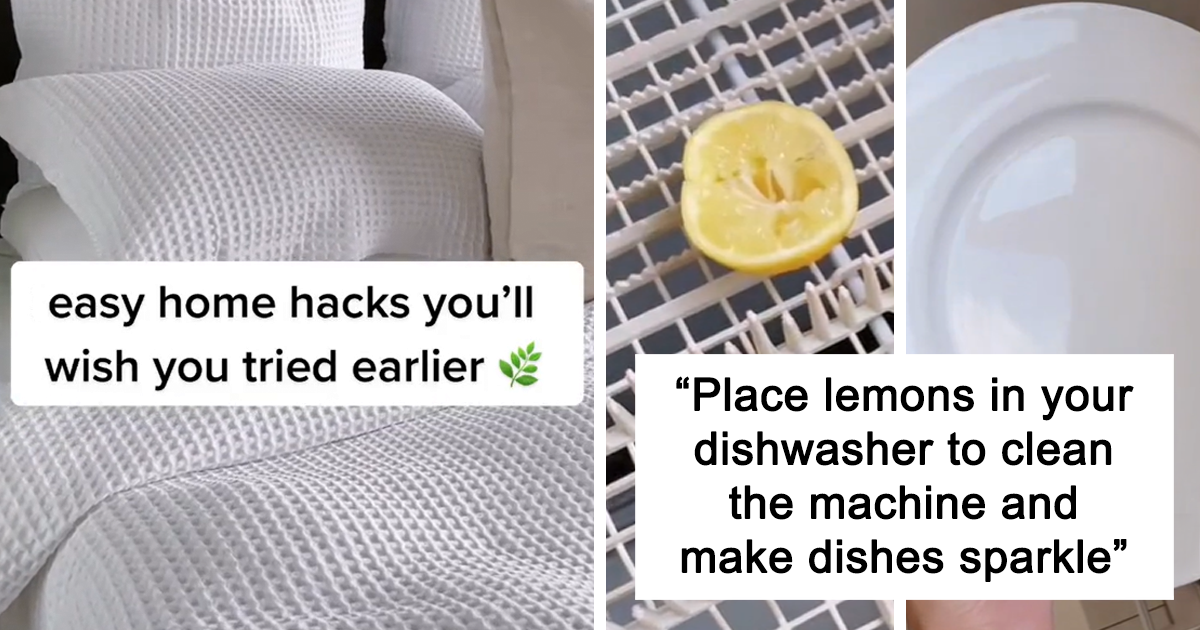 https://www.boredpanda.com/blog/wp-content/uploads/2021/11/home-cleaning-tips-hacks-fb78.png