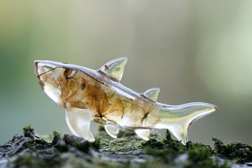 My Studio Makes Transparent Animal Sculptures With Pieces Of Nature Inside My Studio Makes Transparent Animal Sculptures With Pieces Of Nature Inside