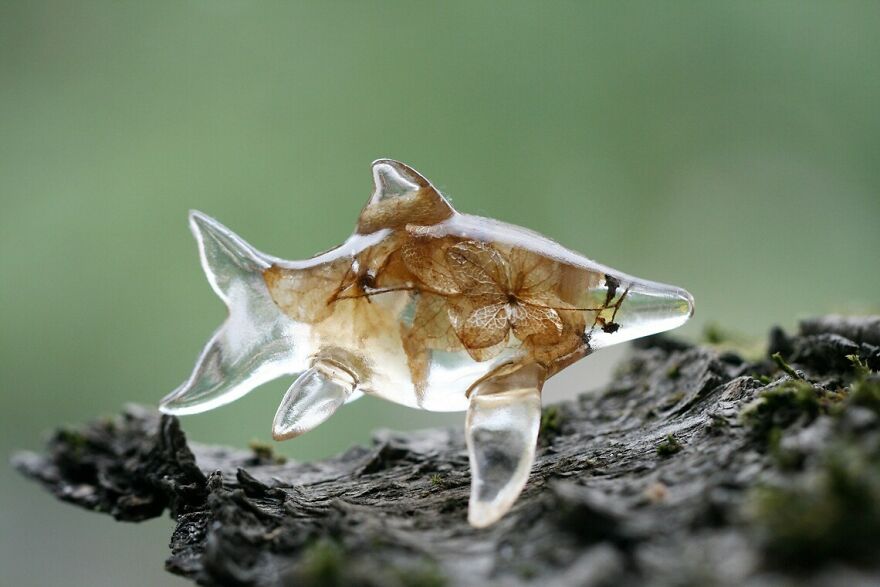 My Studio Makes Transparent Animal Sculptures With Pieces Of Nature Inside