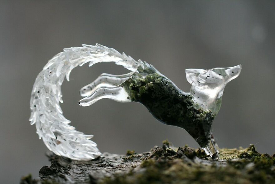 My Studio Makes Transparent Animal Sculptures With Pieces Of Nature Inside My Studio Makes Transparent Animal Sculptures With Pieces Of Nature Inside