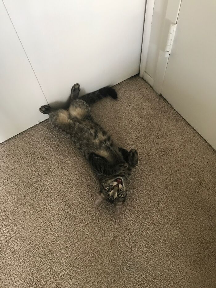 Oliver Channeling His Inner Joker