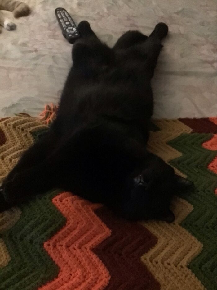 My Dannybear Sleeping!