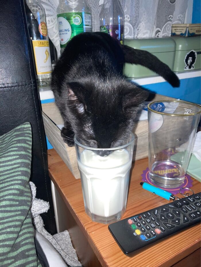 Milk Thief…every Time!!!