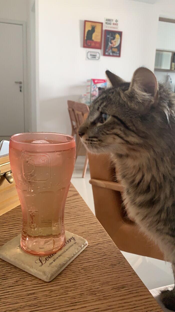 That’s Not My Martini, Hooman