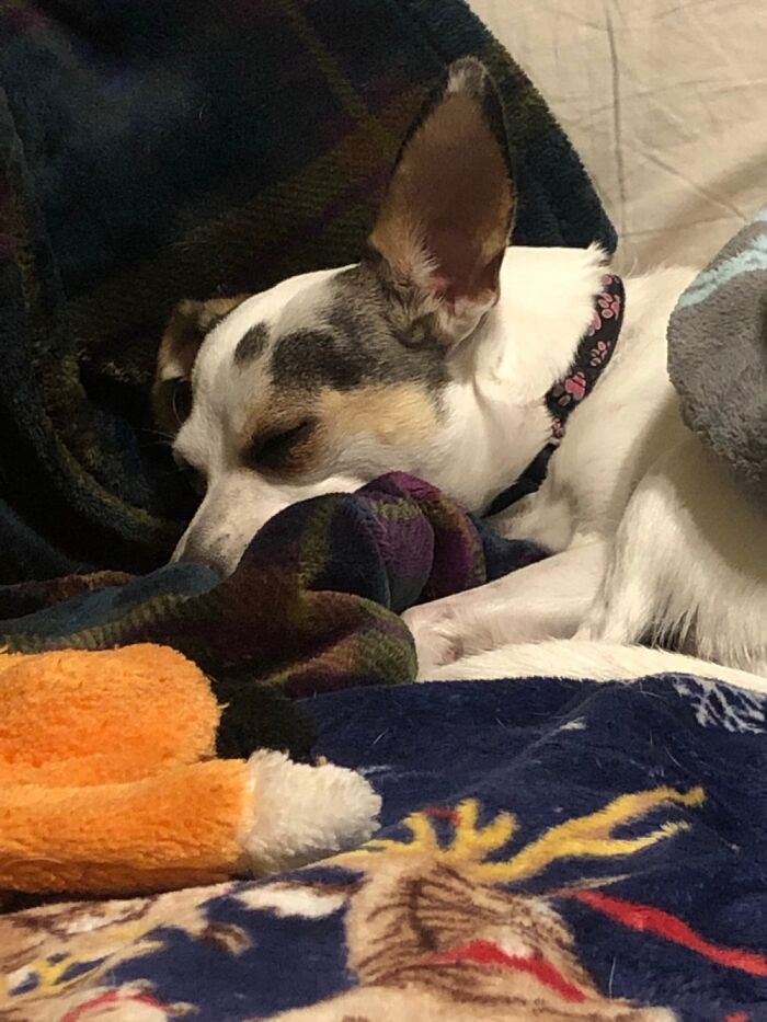 Fell Asleep After Playing