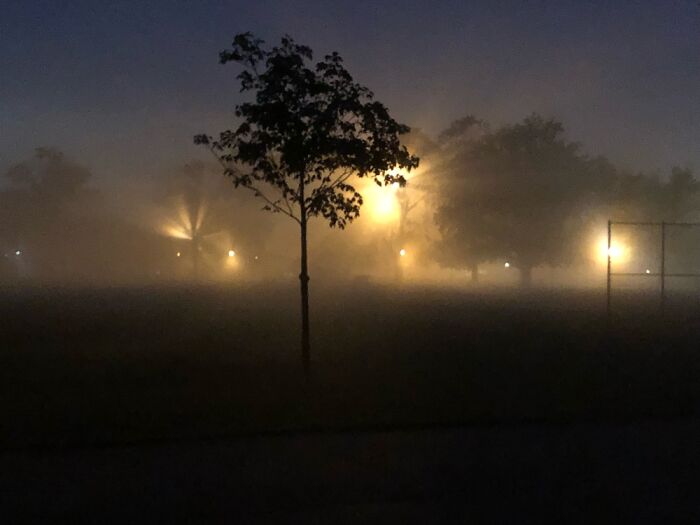 Early Morning Fog And City Street Lights.
