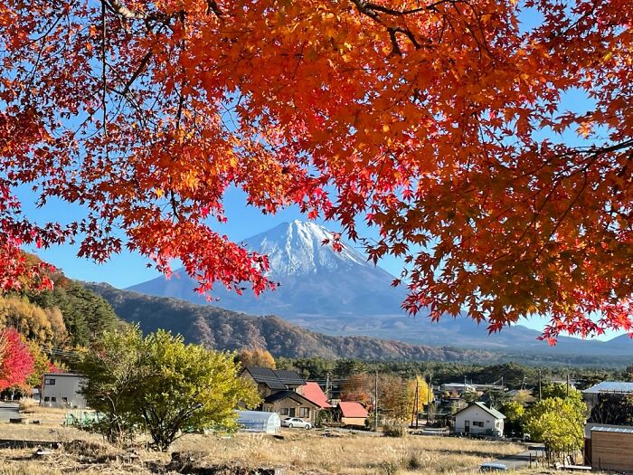 Fuji - Kawaguchiko, Beautiful Changing Leaves