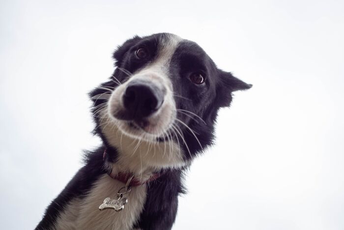 Our Bestest Friend Harry