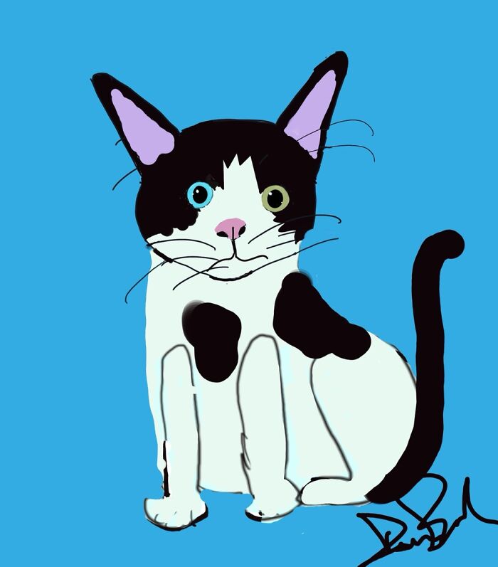 Kitty Cartoon Of Jasper