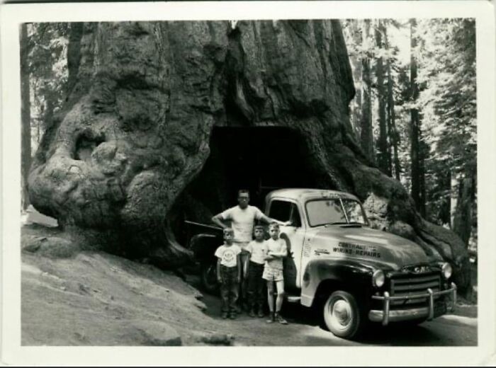 My Grandpa & Uncles Under The Iconic Drive Through Redwood In Norcal That Isn't There Anymore.