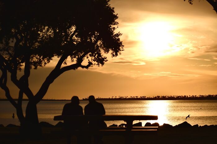 Couple At A Park In San Diego