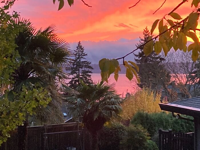 Oregon Sunset 2021