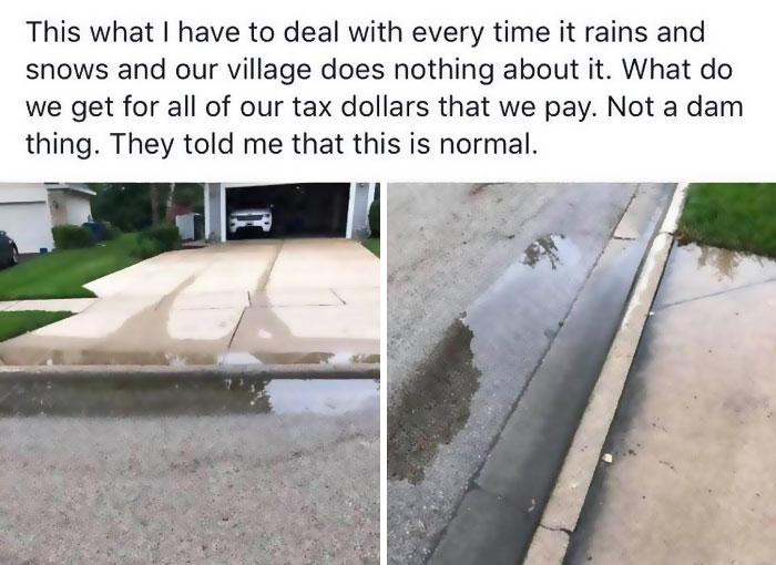 Imagine Not Knowing That Puddles Are Normal