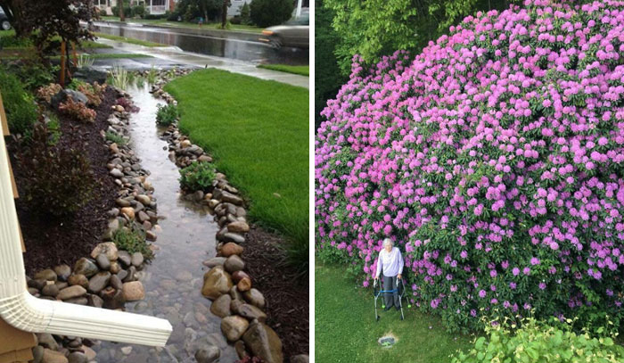 50 Of The Best Pics From The ‘Interesting Gardening’ Online Group