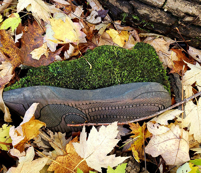 Found This Cool Moss Covered Shoe In The Woods