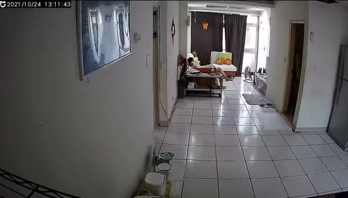 Woman Shows Her Selflessness When She Tries To Calm Her Dog During An Earthquake Woman Shows Her Selflessness When She Tries To Calm Her Dog During An Earthquake