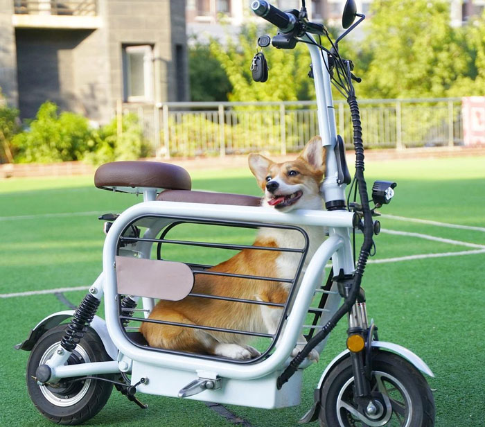 The Japanese Have Invented A Pet-Friendly E-Bike Called A Mopet, And It’s Going To Make Their Transportation Much Easier