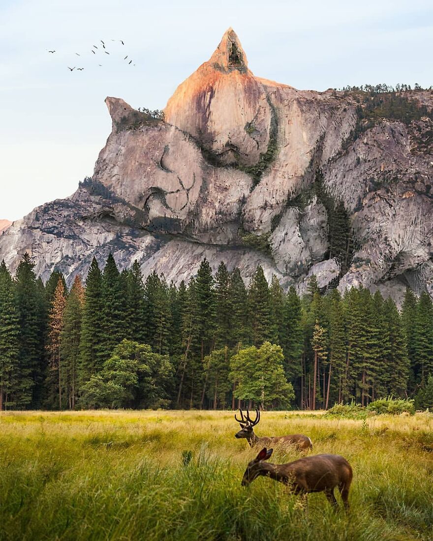 Photographic Project Merges Landscapes And Wild Animals Into Breathtaking Images (53 Pics)