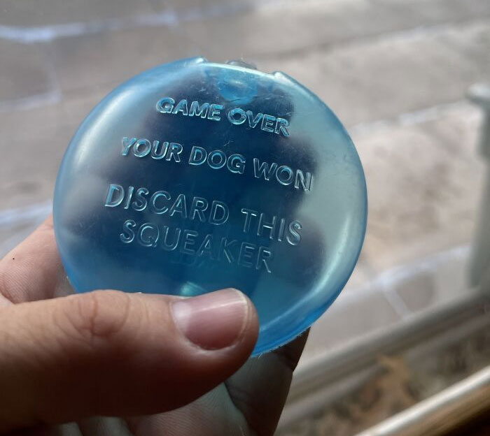 This Message Stamped On The Squeaker Inside The Stuffed Animal My Dog Just Destroyed