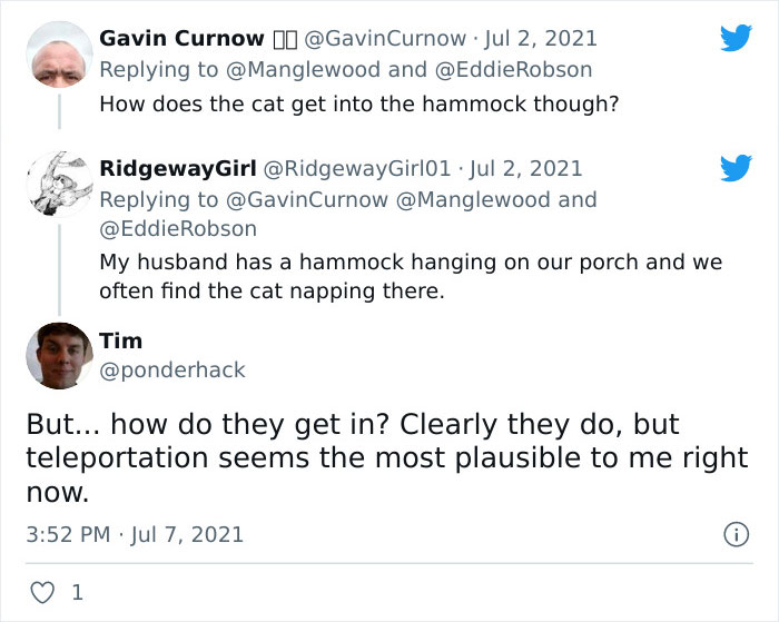 Twitter User Shared 14 Historical Photos Of Cats Chilling In Their Tiny Hammocks Aboard Naval Ships Twitter User Shared 14 Historical Photos Of Cats Chilling In Their Tiny Hammocks Aboard Naval Ships