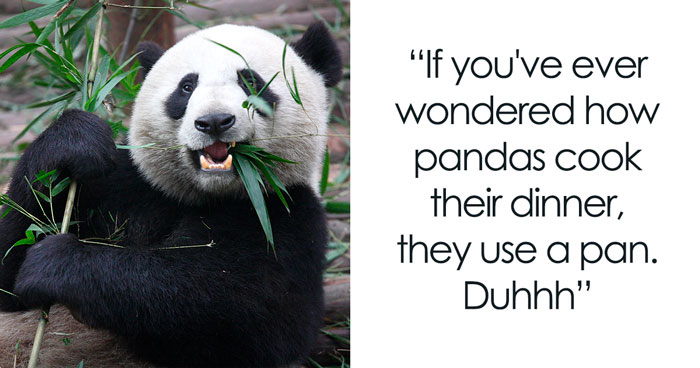 98 Of Truly Panda-stic Panda Puns