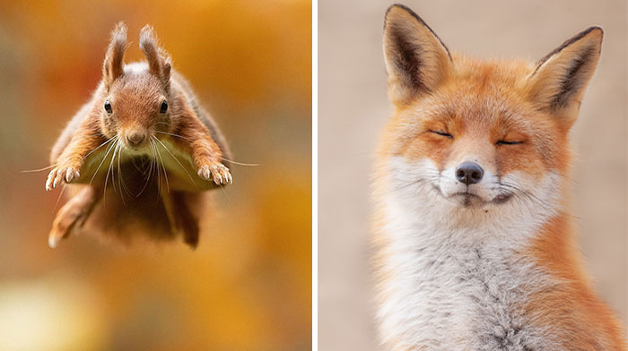 I Capture Beautiful Moments In Wildlife, Here Are My 30 Recent Photos