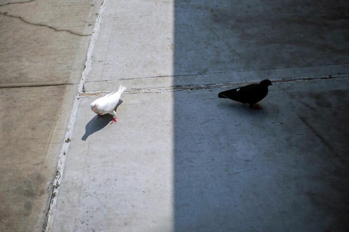 40 Photos Showing Curious Coincidences On New York City Sidewalks By Eric Kogan