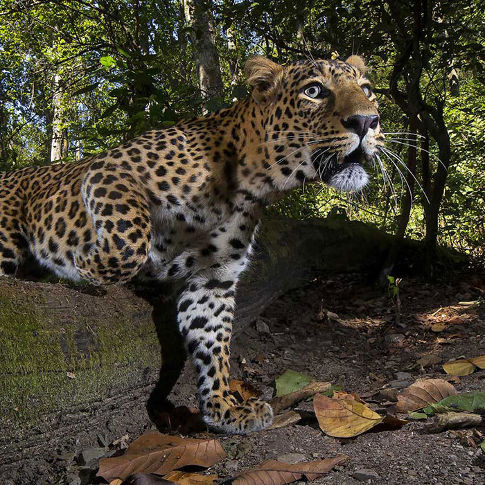 Winners Of Nature “inFocus” Photo Contest Capture Incredible Moments On Earth (37 Pics)