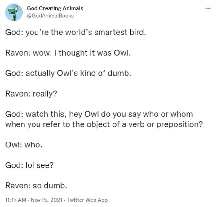 God Creates The World's Smartest Bird