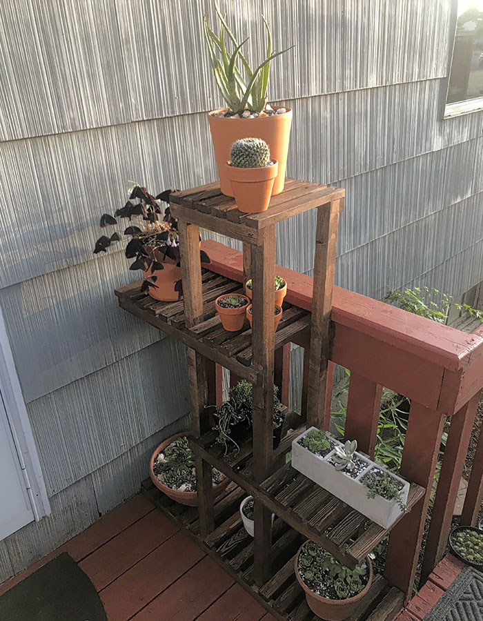 My Boyfriend Built Me The Plant Stand I’ve Wanted Forever With Leftover Wood We Had Laying Around