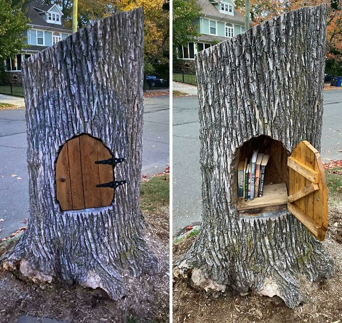 Someone Turned A Stump Into A Little Box Of Books
