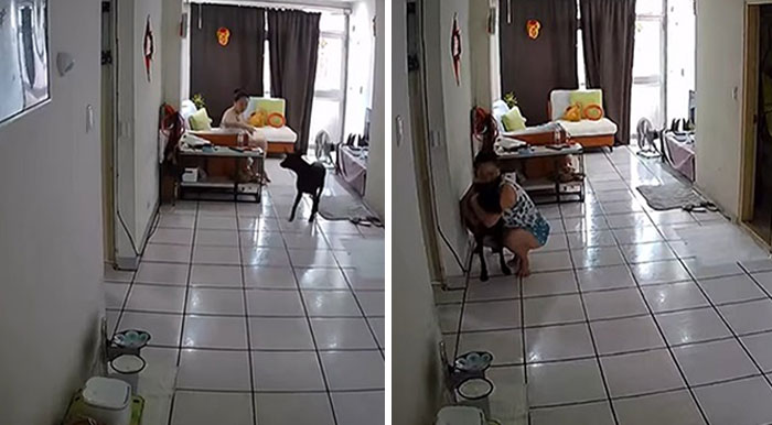 Woman Shows Her Selflessness When She Tries To Calm Her Dog During An Earthquake