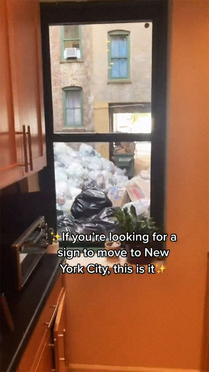 Woman Rents An Apartment In New York For $1,575, Is Shocked After Moving In By The Awful View From Her Only Window