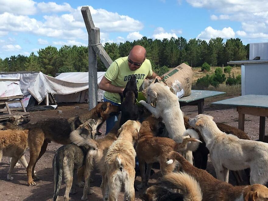 This Man Turned His Farm Into An Animal Shelter That Not Only Has Dogs And Cats But Also Other Animals Such As Horses, Seagulls And Others