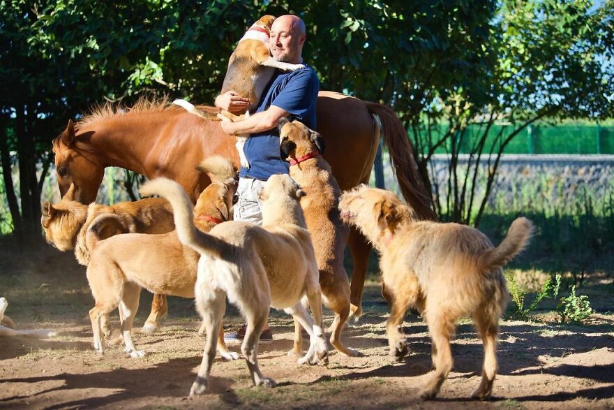Este hombre transformó su granja en un refugio de animales con perros y gatos, pero también caballos, gaviotas y más