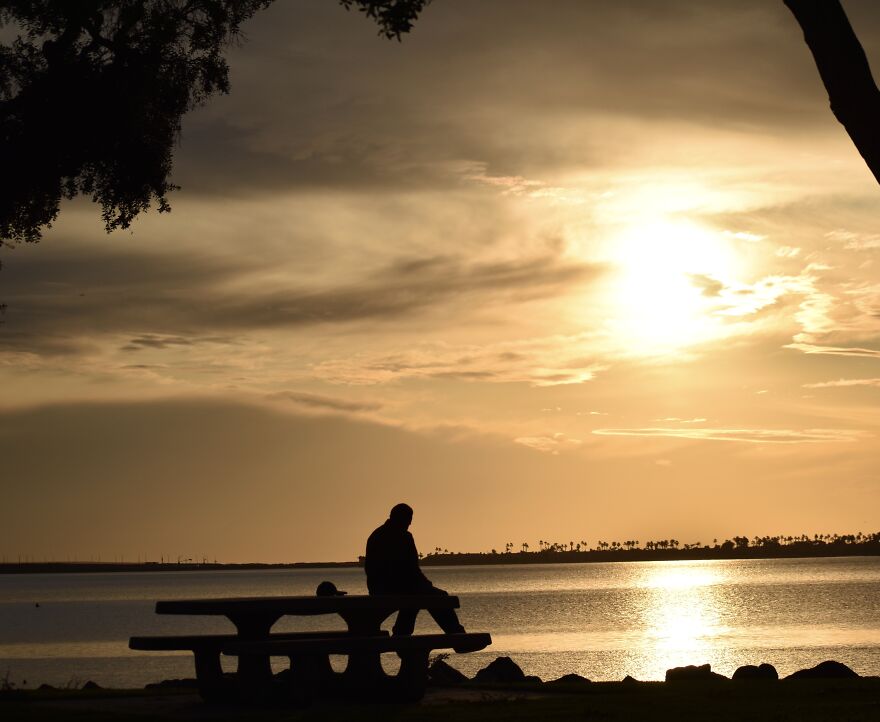 I Took These Photos, And I’m Very Proud Of Them!