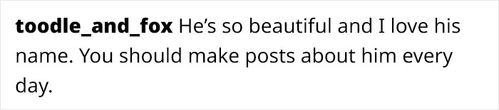 Comment praising a large, beautiful Maine Coon cat with a suggestion to post about him daily. Comment praising a large, beautiful Maine Coon cat with a suggestion to post about him daily.