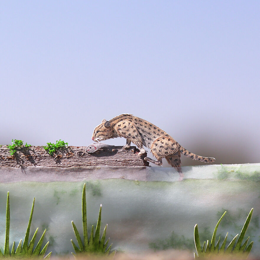 I Created Miniature Paper Cut Artworks Every Day For 1000 Days To Create Awareness About Wildlife I Created Miniature Paper Cut Artworks Every Day For 1000 Days To Create Awareness About Wildlife