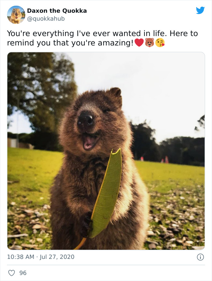 You're Amazing Indeed