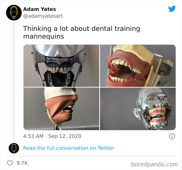 Dental Training Mannequin