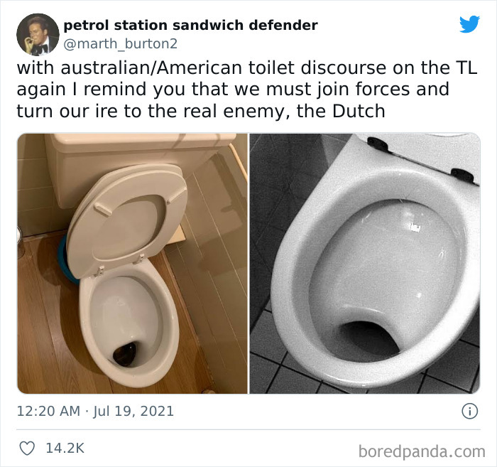 Thanks I Hate Dutch Toilets
