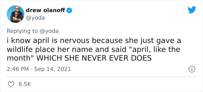 Mission "Raccoon Removal": This Guy’s Live Tweets About How He’s Trying To Get A Raccoon Out Of His House Are Seriously Hilarious Mission "Raccoon Removal": This Guy’s Live Tweets About How He’s Trying To Get A Raccoon Out Of His House Are Seriously Hilarious