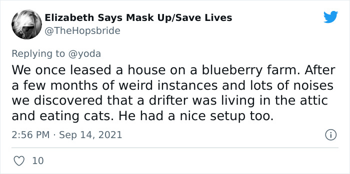 Mission "Raccoon Removal": This Guy’s Live Tweets About How He’s Trying To Get A Raccoon Out Of His House Are Seriously Hilarious