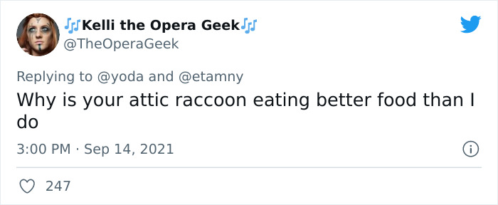 Mission "Raccoon Removal": This Guy’s Live Tweets About How He’s Trying To Get A Raccoon Out Of His House Are Seriously Hilarious Mission "Raccoon Removal": This Guy’s Live Tweets About How He’s Trying To Get A Raccoon Out Of His House Are Seriously Hilarious