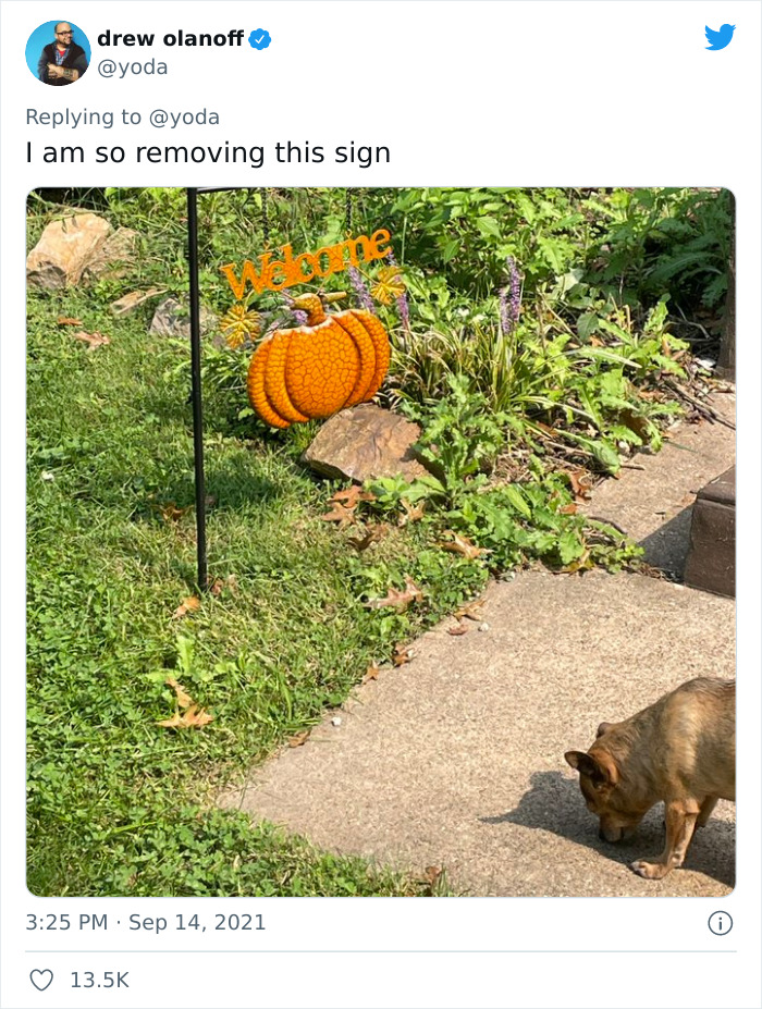 Mission "Raccoon Removal": This Guy’s Live Tweets About How He’s Trying To Get A Raccoon Out Of His House Are Seriously Hilarious