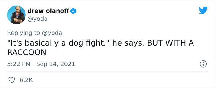 Mission "Raccoon Removal": This Guy’s Live Tweets About How He’s Trying To Get A Raccoon Out Of His House Are Seriously Hilarious Mission "Raccoon Removal": This Guy’s Live Tweets About How He’s Trying To Get A Raccoon Out Of His House Are Seriously Hilarious