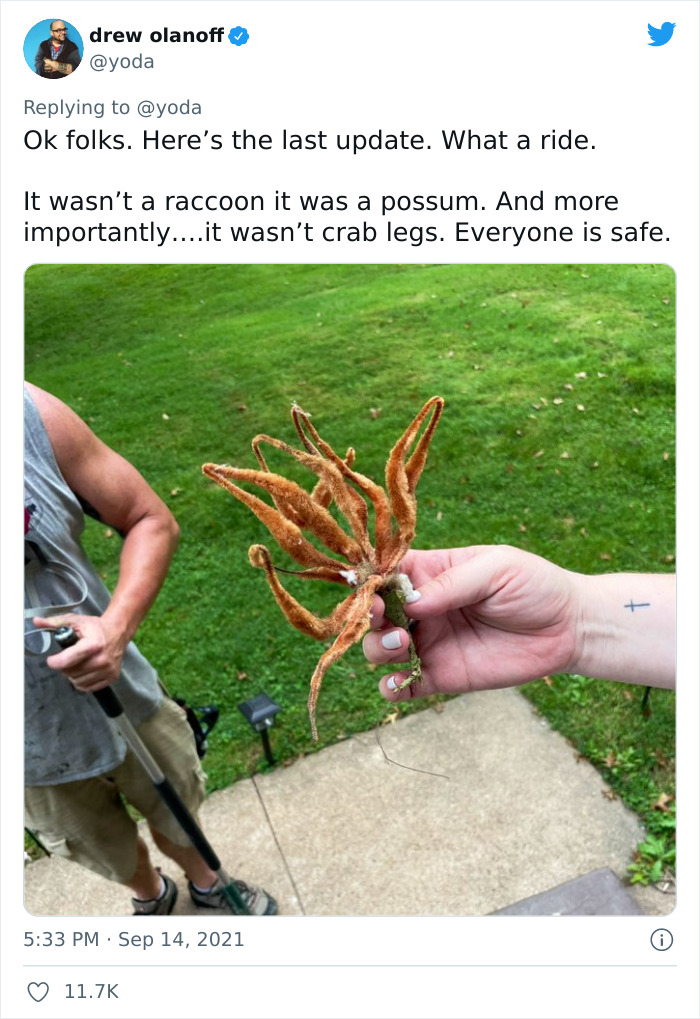 Mission "Raccoon Removal": This Guy’s Live Tweets About How He’s Trying To Get A Raccoon Out Of His House Are Seriously Hilarious Mission "Raccoon Removal": This Guy’s Live Tweets About How He’s Trying To Get A Raccoon Out Of His House Are Seriously Hilarious